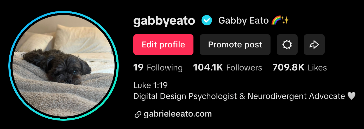 TikTok profile preview for Gabrieleeato