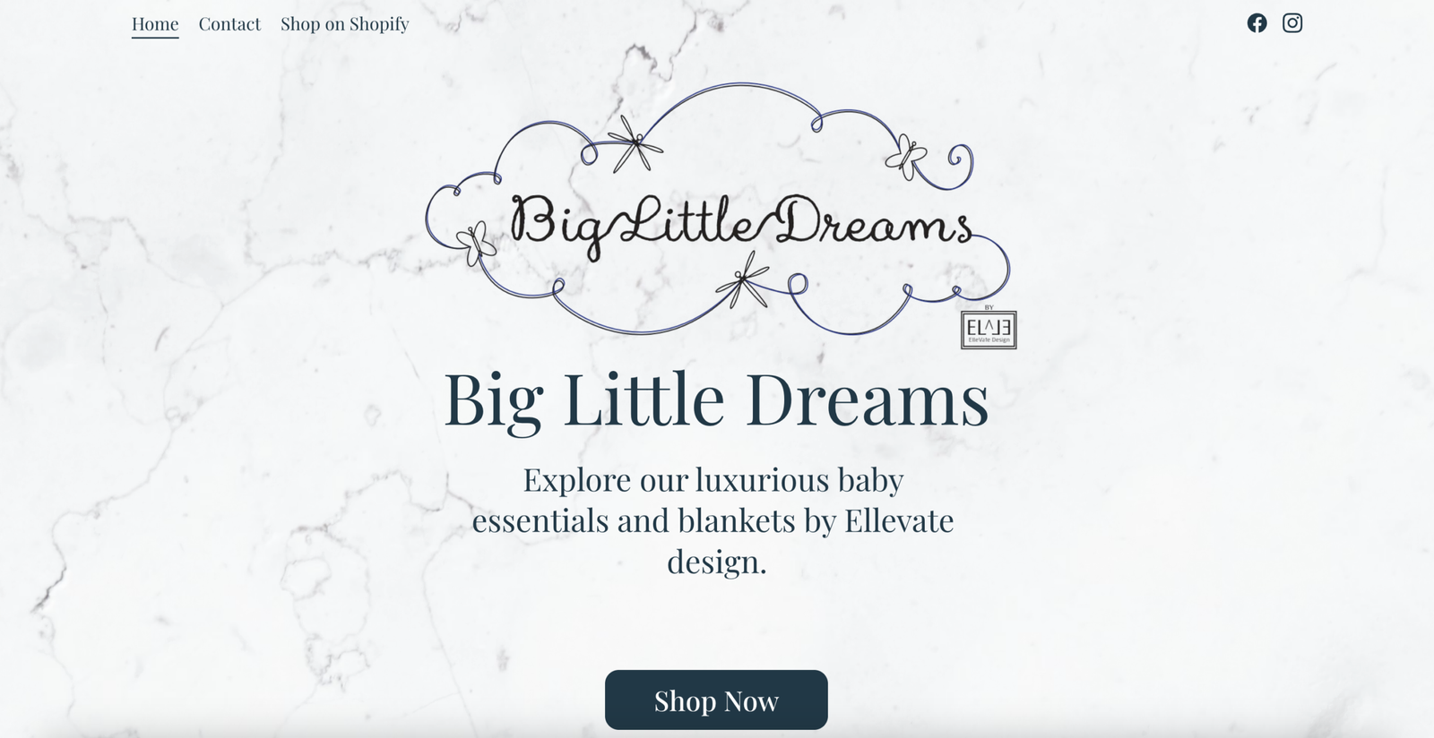 Big Little Dreams Website Screenshot 1