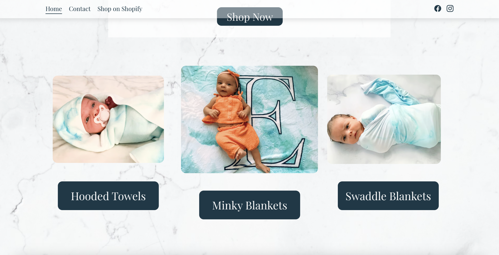 Big Little Dreams Website Screenshot 2